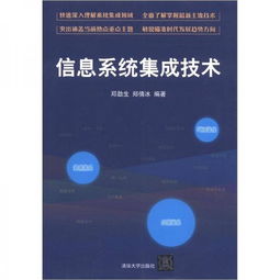 信息系統(tǒng)集成技術(shù)與服務(wù) 構(gòu)建智能高效的企業(yè)信息化基石